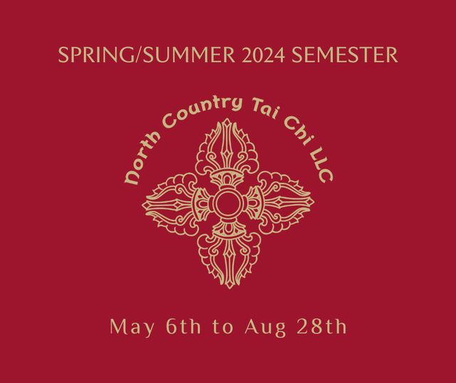SpringSummer 2024 Semester May 6th Aug 28th